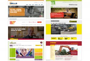 Website Copywriter – Home Pages