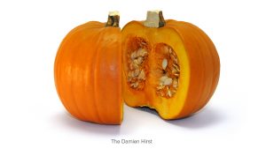 Jonathan Wilcock freelance creative – pumpkins Damien Hirst