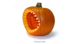 Jonathan Wilcock freelance creative – pumpkins Great White