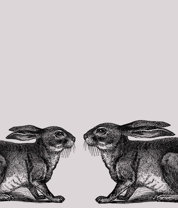 Rabbit and Hare – tone of voiceand website copywriting by Jonathan Wilcock, Freelance Copywriter
